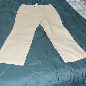 NEW  New York & Company pants